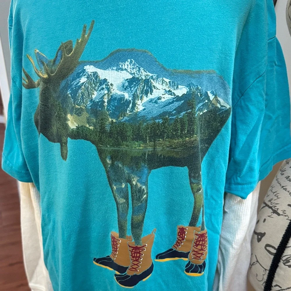 🫎 Gymboree Teal Moose Graphic Long Sleeve Tee